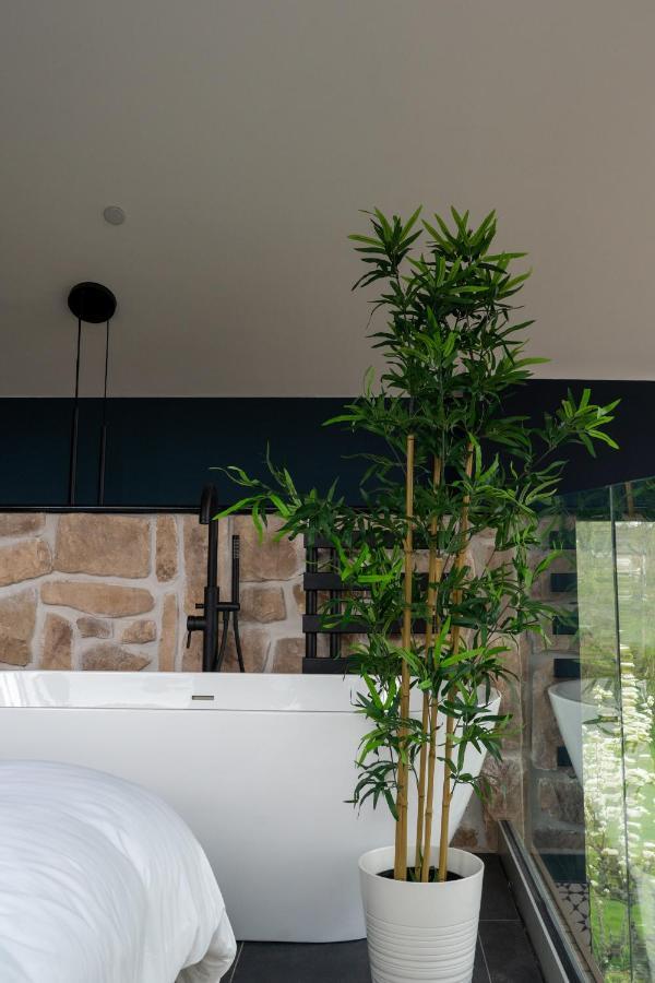Plas Coch Luxury Barn スランザイニオレン エクステリア 写真