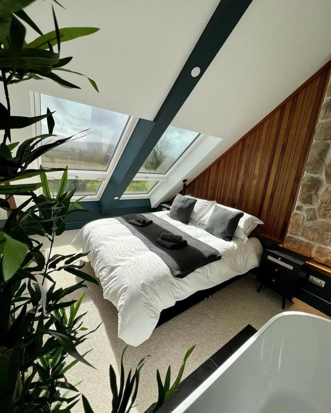 Plas Coch Luxury Barn スランザイニオレン エクステリア 写真